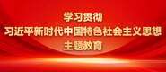 艹我骚逼学习贯彻习近平新时代中国特色社会主义思想主题教育_fororder_ad-371X160(2)